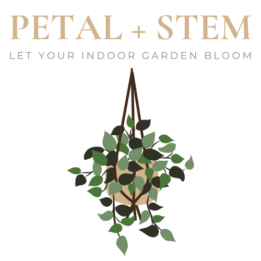 PETAL + STEM